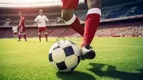 巅峰国际娱乐 产品 111718 stj