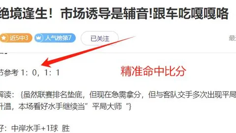 美国网球联杯八强激战在即：中美对决一触即发